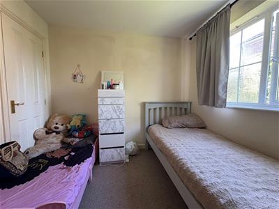 Picture 8